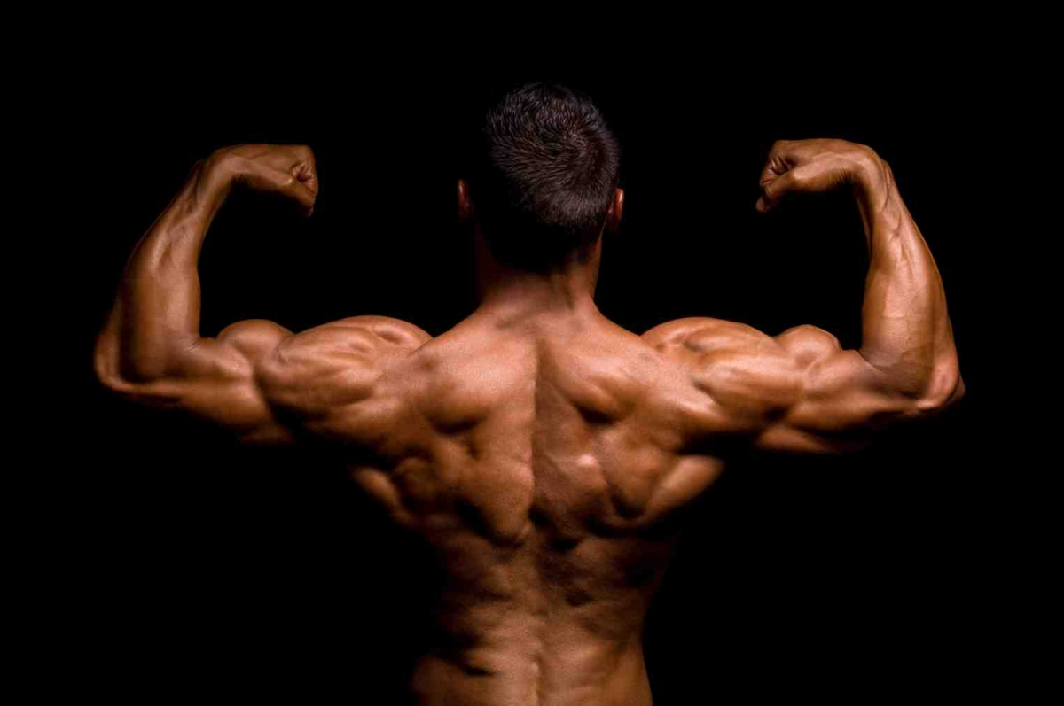 Come Aumentare la Massa Muscolare: I 5 Errori da Evitare in Palestra